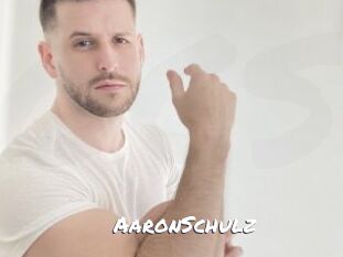 AaronSchulz