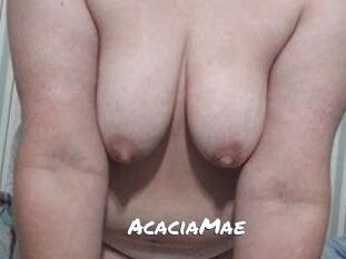 AcaciaMae