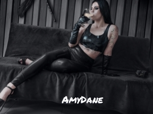 AmyDane