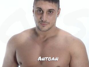 Antoan