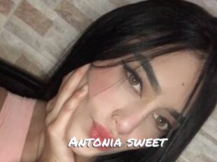 Antonia_sweet