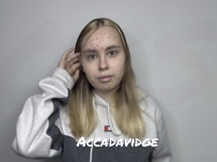 Accadavidge