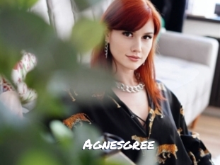agnesgree Ochranne Siete