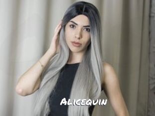 Alicequin