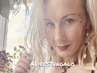 Alicesjungalo