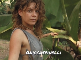 Aniccaspinelli