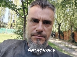 Anthonyalf