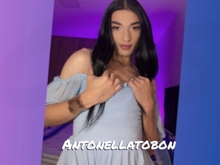 Antonellatobon