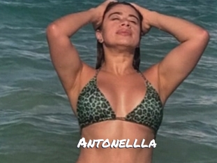 Antonellla