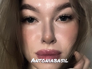 Antoniabasil