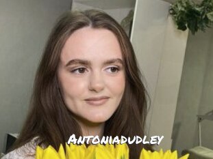 Antoniadudley