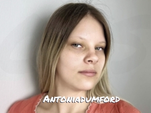 Antoniadumford