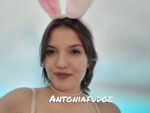 Antoniafudge