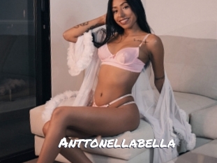 Anttonellabella