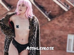 Asshleyrose