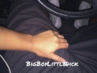 BigBoyLittleDick