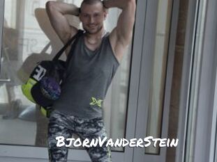 BjornVanderStein