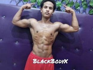 BlackBodyX