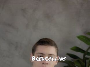 BredCollins