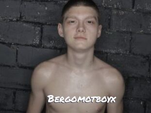 bergomotboyx Ochranne Siete