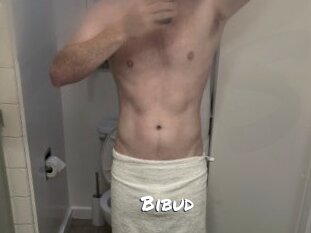 Bibud