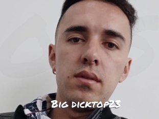 Big_dicktop23