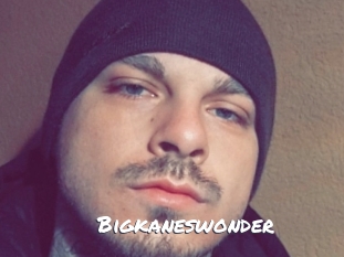 Bigkaneswonder