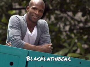 Blacklatinbear