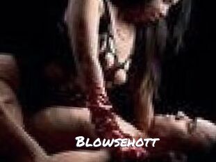 blowsehott Ochranne Siete
