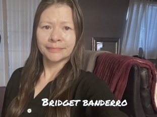 Bridget_banderro