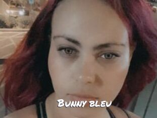 Bunny_bleu