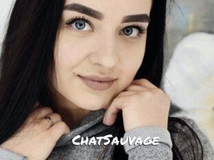 ChatSauvage