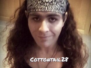 Cottontail28