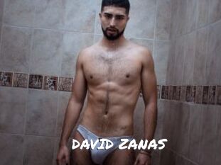 DAVID_ZANAS Ochranne Siete