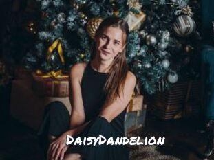 DaisyDandelion