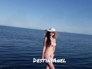 DestinyAnel