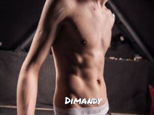 Dimandy Ochranne Siete