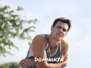 DominikYa