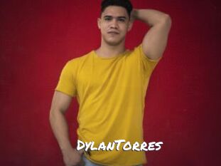 DylanTorres Ochranne Siete