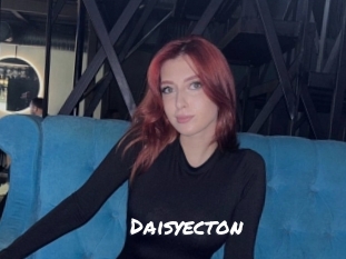 Daisyecton