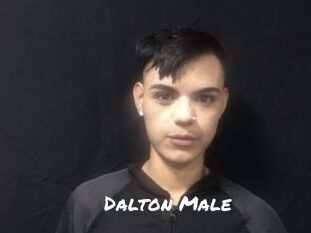 Dalton_Male