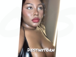 Destinytorn