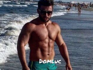 Domluc