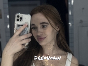 dremmaw Ochranne Siete