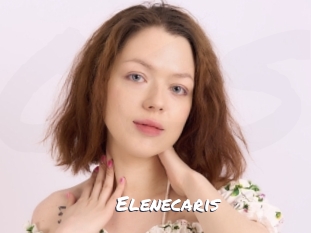 Elenecaris