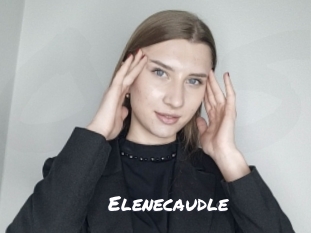 Elenecaudle