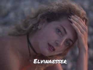 Elvinaesser