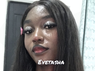 evetasha Ochranne Siete