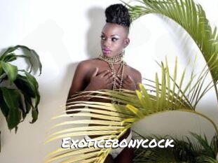 Exoticebonycock