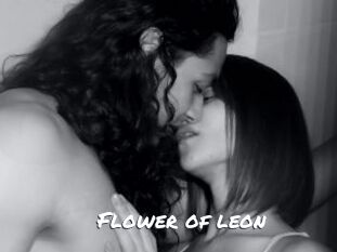 Flower_of_leon